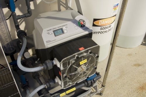Single Skide, Hypo Injection