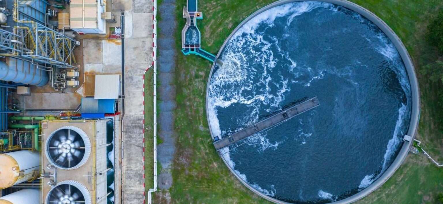 Peristaltic Vs Diaphragm How To Choose The Best Option For Your