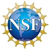 Logotipo de NSF