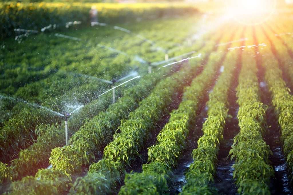 Agriculture and Irrigation 1 Agriculture and Irrigation