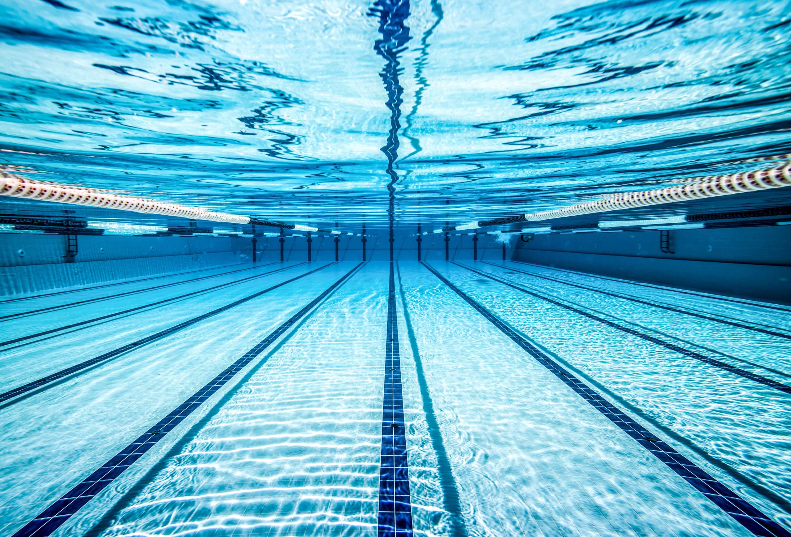 Commercial pool image scaled