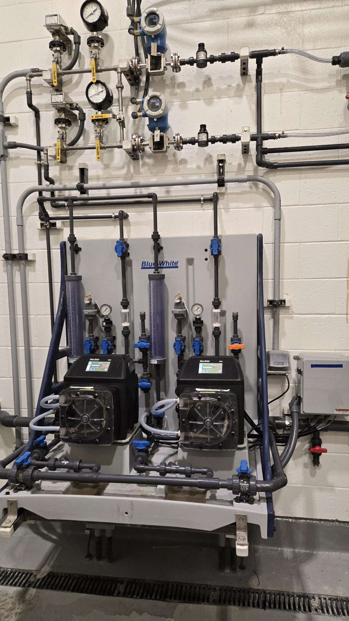 CHEM-FEED® Dual Skid with FLEXFLO® M4 Pumps