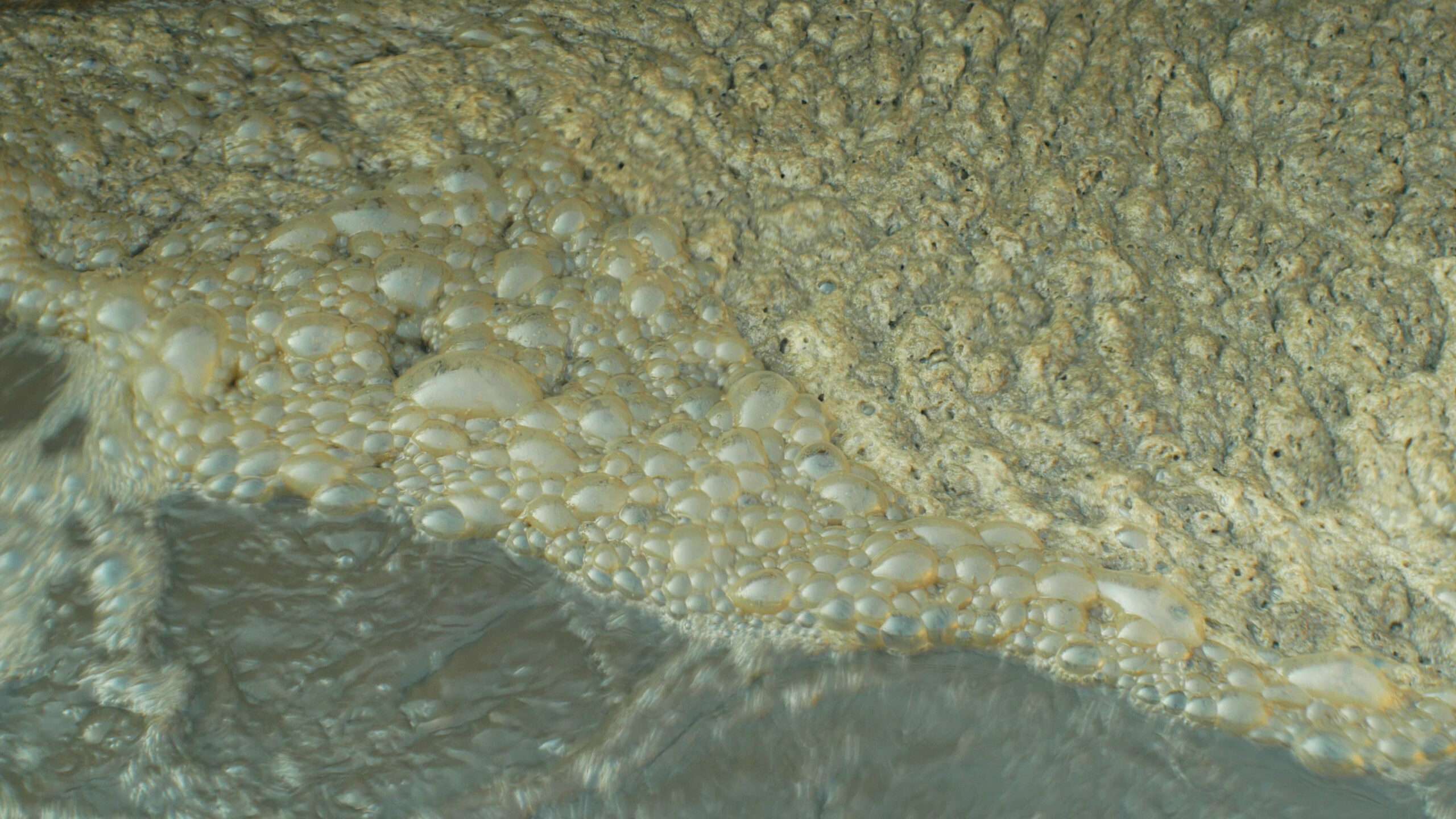 odor control 02 scaled