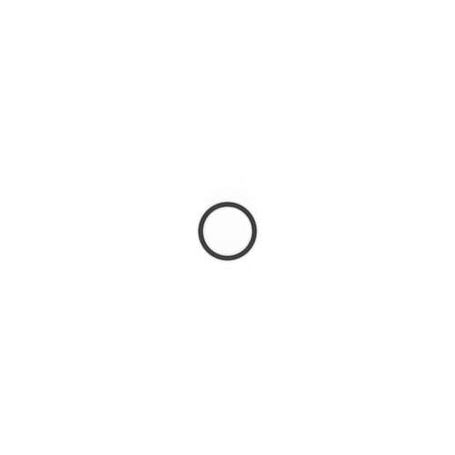 O-RING 122 EP