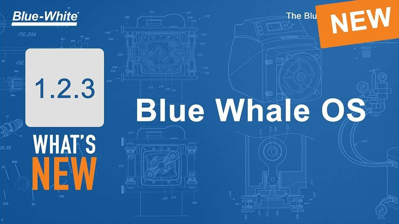 Miniature vidéo : Présentation : Blue Whale OS 1.2.3 pour les pompes doseuses de produits chimiques de la série S